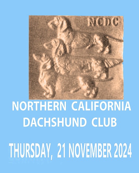 Norther Calif Dach Club, Thursday, 21 November 2024