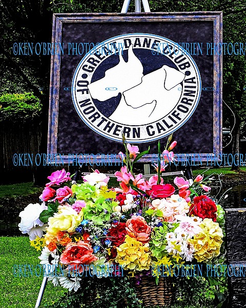 Great Dane Club of  Northern CALIF., SATURDAY 26 April 2025