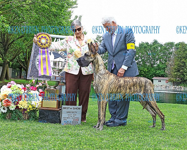 Great Dane Club of  Northern CALIF., SUNDAY 27 April 2025