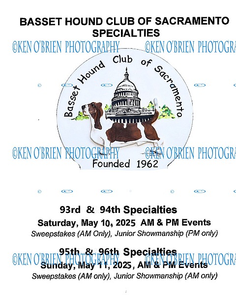 Basset Club of Sacramento  May 10 & May 11, 2025