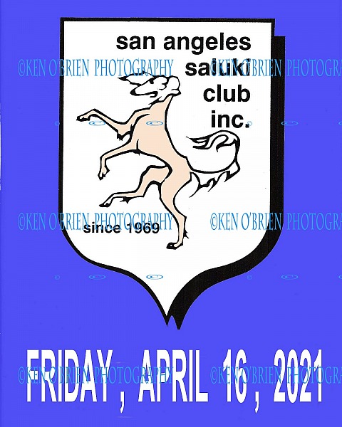 San Angeles Saluki Club,  FRIDAY  April 16, 2021