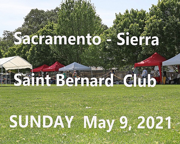 Sacramento-Sierra Saint Bernard Club - SUNDAY May 9, 2021