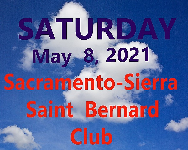 Sacramento-Sierra  Saint  Bernard Club  SATURDAY May 8, 2021