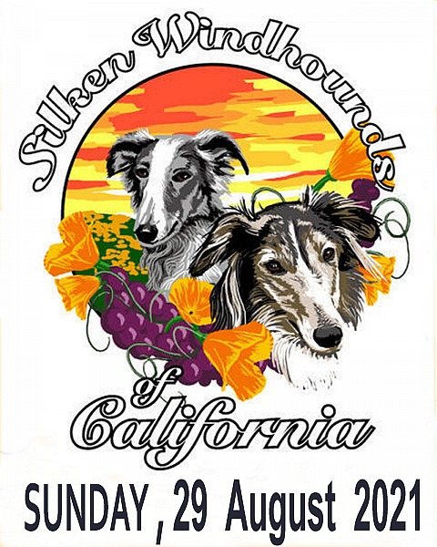 Silken Windhound Club of California, SUNDAY 29 August 2021