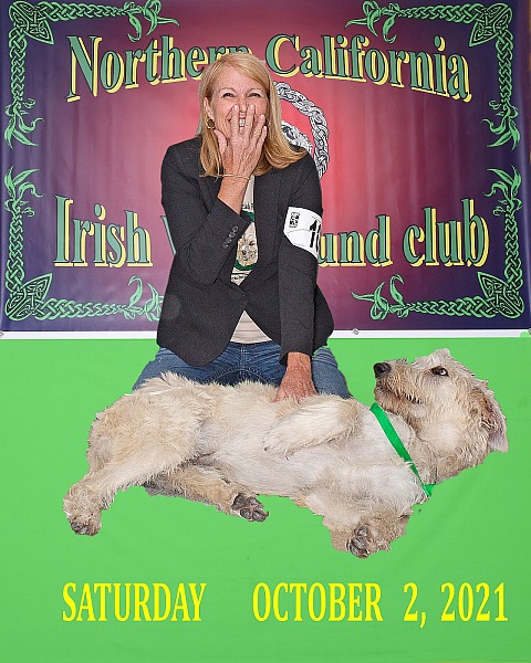 Northern California Irish Wolfhound Club  SATURDAY  October 2, 2021