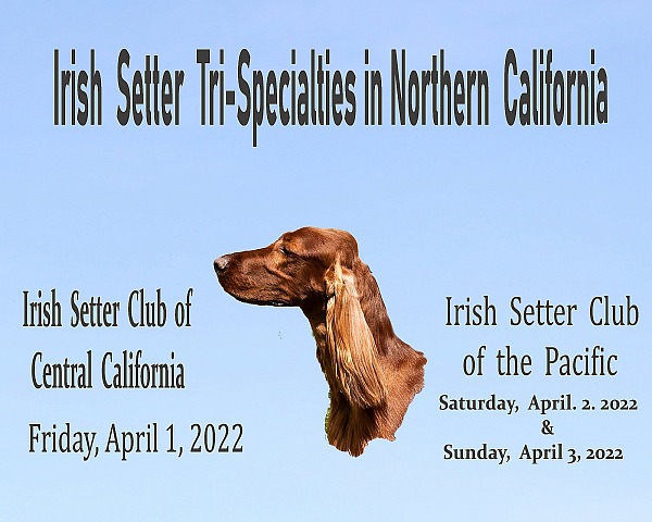 IRISH  SETTER  TRI-SPECIALTIES in Northern California April 1,2,3, 2022