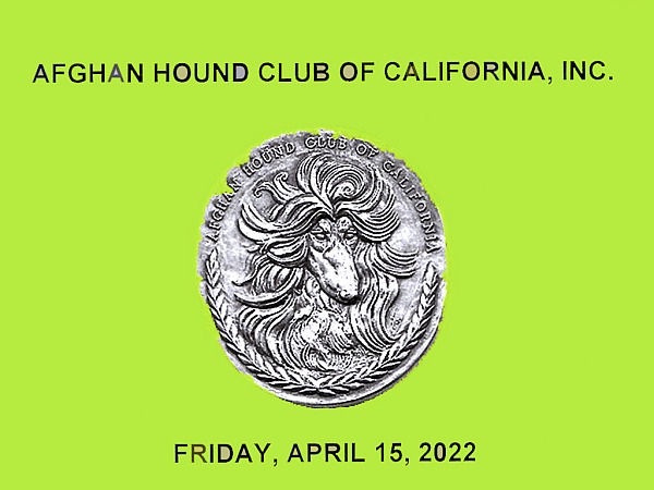AFGHAN HOUND CLUB OF CALIFORNIA  FRIDAY  April 15, 2022