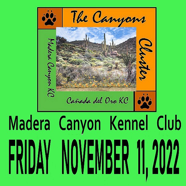 Madera Canyon K.C. FRIDAY  November 11 2022