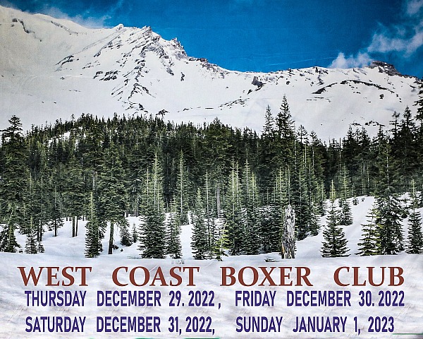 West Coast Boxer Club - Thursday 29 Dec, Friday 30 Dec, Saturday 31 Dec, Sunday 1 Jan 2023