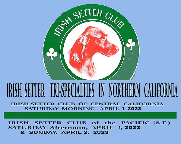 IRISH  SETTER  TRI-SPECIALTIES in Northern California  APRIL 1 & 2 - Sat.  Sun 2023