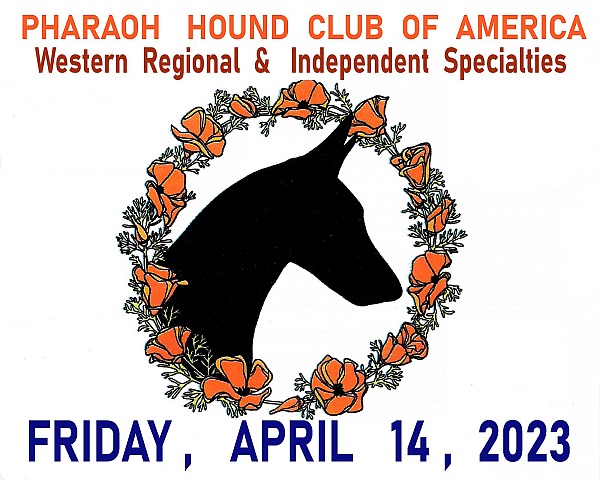 PHARAOH  HOUND CLUB  of AMERICA Regional & Independent Spec Friday   14 April 2023
