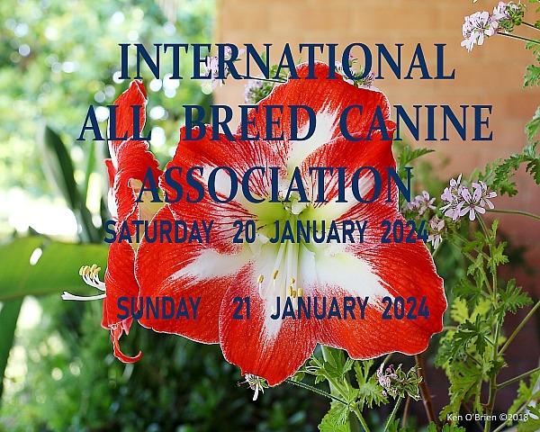 International  All   Breed  Canine  Assoc. Jan 2O & 21 2024