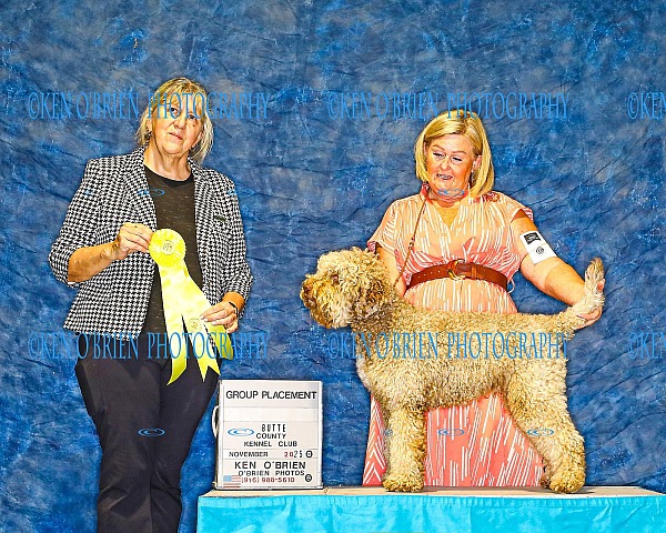 Butte County K.C. NOV 2, 2025 SUNDAY