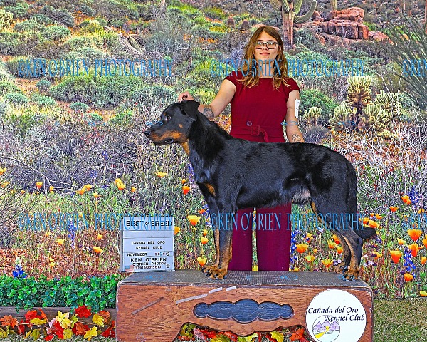 Canada del Oro  Friday NOV 7  K0725