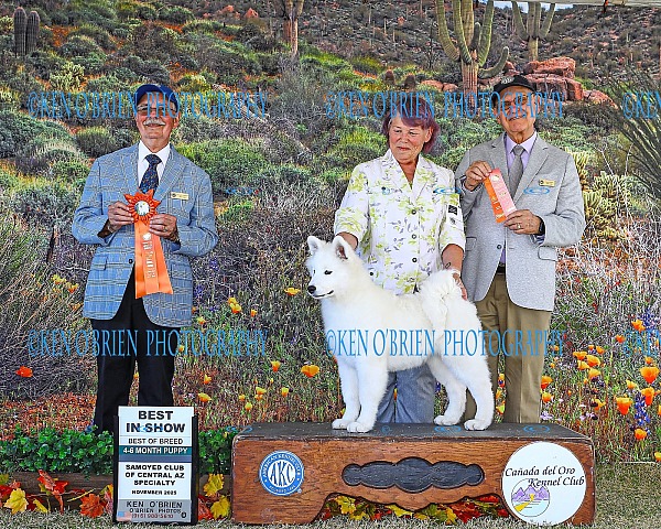 Canada del Oro Saturday  Nov 8 2025  K0825