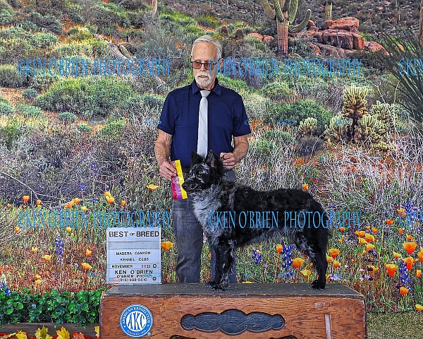 Madera Canyon  SUNDAY  Nov  9 2025 K0925