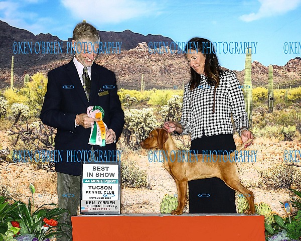 Tucson K.C. NOV 14, 2025 FRIDAY