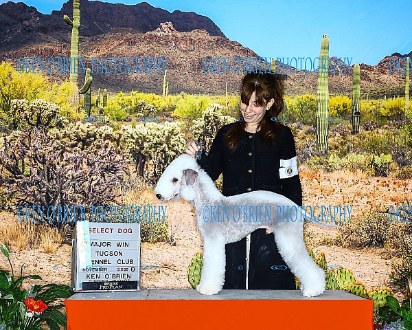 Tucson K.C.  NOV 15, 2025  SATURDAY