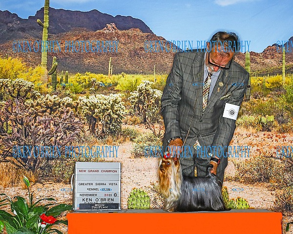 Greater Sierra Vista  MONDAY 17 NOV 2025