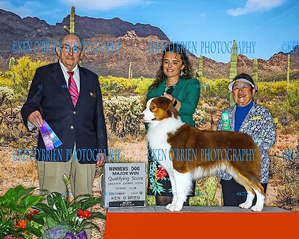 Greater Sierra Vista SUNDAY 16 Nov 2025